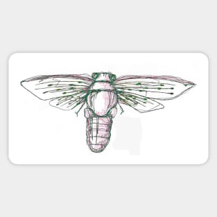 Cicada Sticker